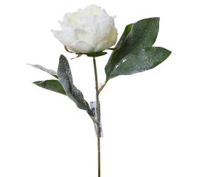 Ks pivónia zasnežená 32cm