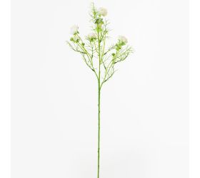 Ks ranunculus krém 74cm