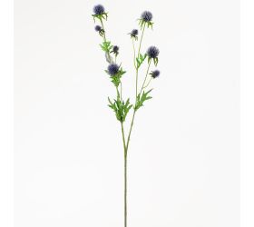 Ks echinops modrý 71cm