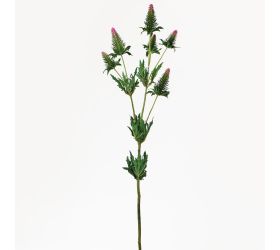 Ks eryngium zeleno-ruž. 90cm