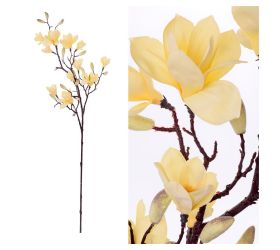Konár magnólia kvet žltý 155cm
