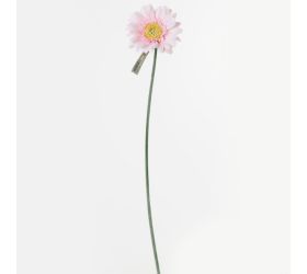 Ks gerbera bl.ružová 45cm