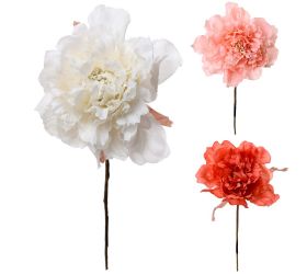 Ks hlava ruža 3f priem:10cm