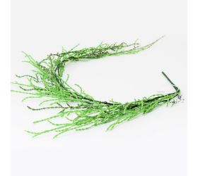 Super cena koreň orchidea