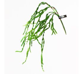 Super cena ťahačka zeleň 75cm