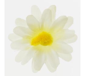 Hlava margarétka biela p:4cm bal:100ks