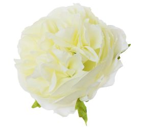 Hlava ruža anglická biela p:9cm bal:12ks