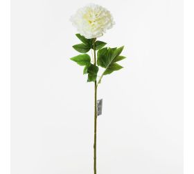 Ks pivónia biela 80cm super cena