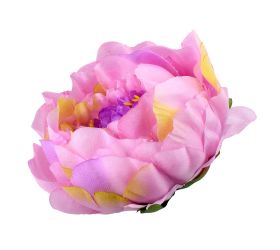 Hlava pivoňka krém ružová priem:10cm bal:12ks