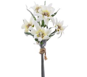 Ks poniklec biely 23cm