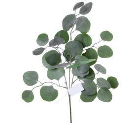 Listy eucalyptus 45cm