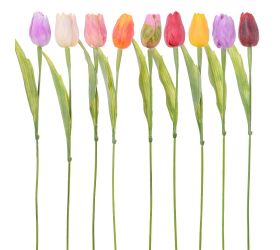 Ks tulipán mix 10f 42cm
