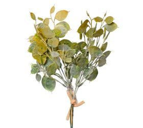 Zápich lunaria zelená zv/5 32cm