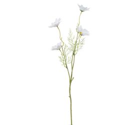Ks margarétka 54cm