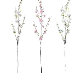 Konár čerešňa  mix 3f