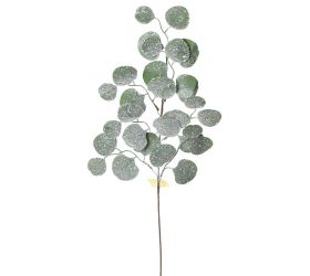 Konár eucalyptus osnež.72cm