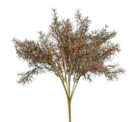 Zápich asparagus zelenomedená 37cm