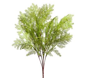 Zápich asparagus 44cm