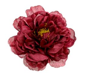 Hlava pivónia bordo p:8cm bal:24ks