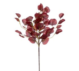 Zápich eukalyptus tm.čer.