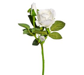 Ks ruža biela 37cm