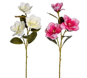 Ks magnólia 2f 80cm