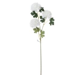 Ks chryzntéma x3 66cm biela