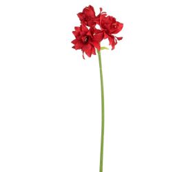 Amarylis červený 69cm