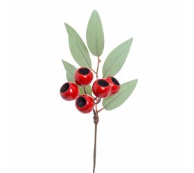Konárik eucalypt, červené bobule 24cm