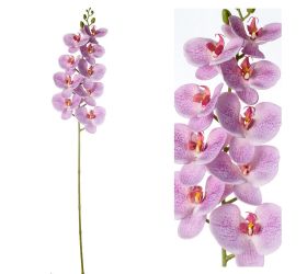 Orchidea phalenopsis ružovo-fial., bodky 96cm