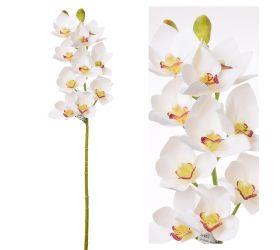 Kusovka orchidea cymbidium biela 74cm