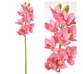 Kusovka orchidea cymbidium salmon 74cm