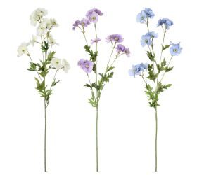 Ks delphinium grandiflora mix/f 82cm