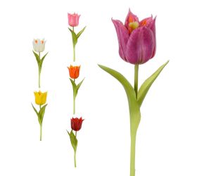 Ks tulipán mix/f 24cm