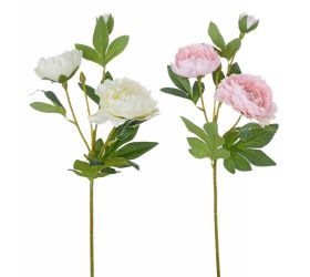 Ks pivonka viack. mix/f 49cm