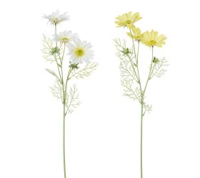 Margarétka mix/f 60cm