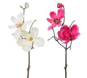 Magnólia konár ružová mix 2f 50cm