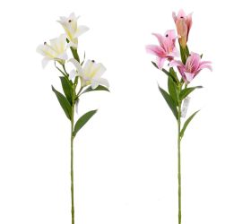 Ľalia stargarzer ružovo-biela 3 kvety 73cm