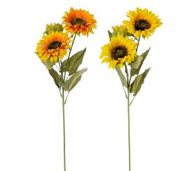 Slnečnica kusovka mix 2f 73cm