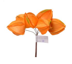 Zápich physalis žlt/or 6ks 13cm