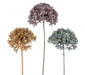 Ks hortenzia mini glilt, mix/f 30cm