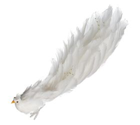 Páv biely 40*14*15cm