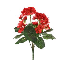 Kytica muškát zonalka červený 31cm
