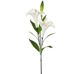 Ks ľalia longa mix/2f 74cm