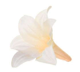 Hlava ľalia krém 14cm