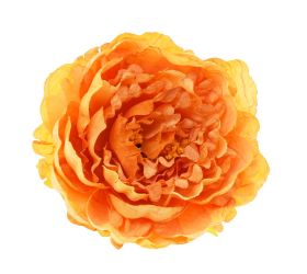 Ks pivonka hlava žltá 8*14cm