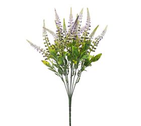 Zeleň veronika zeleno-fialová 40cm