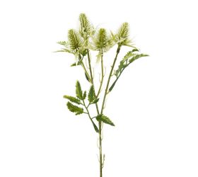 Zeleň eryngium-bodliak x3 biely 27cm