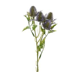 Zeleň eryngium-bodliak x3 fialový 27cm