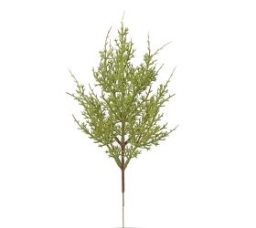Zápich zeleň cyperus x13 36cm
